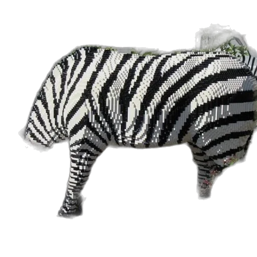 animal, creature, hat, food transparent PNG cut-out