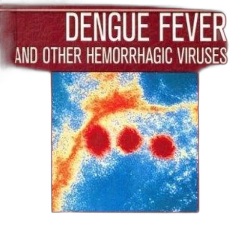 cover, dengue, fever, other transparent PNG cut-out