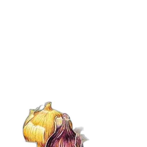flower, crown, hair, food transparent PNG cut-out