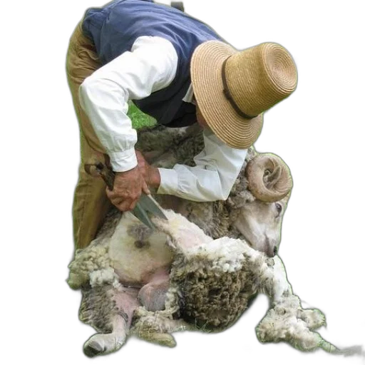animal, hair, staff, hat transparent PNG cut-out