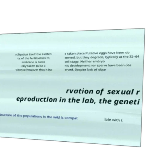 scientific, text, discussing, observation transparent PNG cut-out