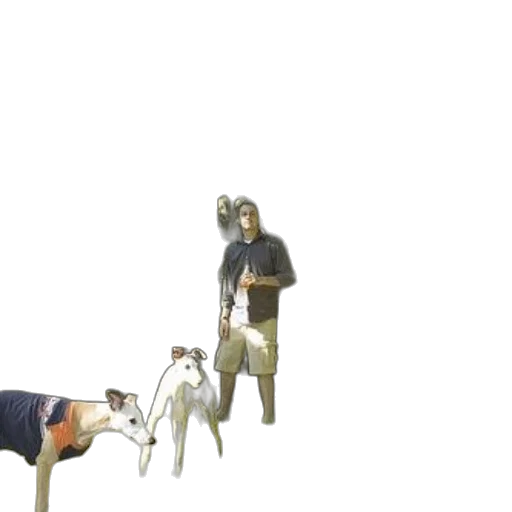 animal, staff, creature, weapon transparent PNG cut-out