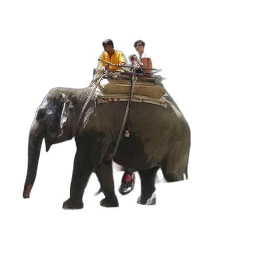 animal, concept art, 3d render, photorealistic transparent PNG cut-out