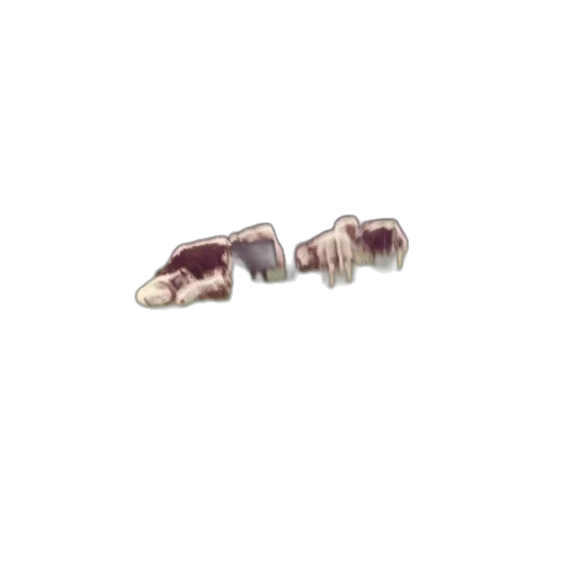 jewelry, herd, cows, graze transparent PNG cut-out