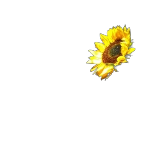 flower, crown, jewelry, weapon transparent PNG cut-out