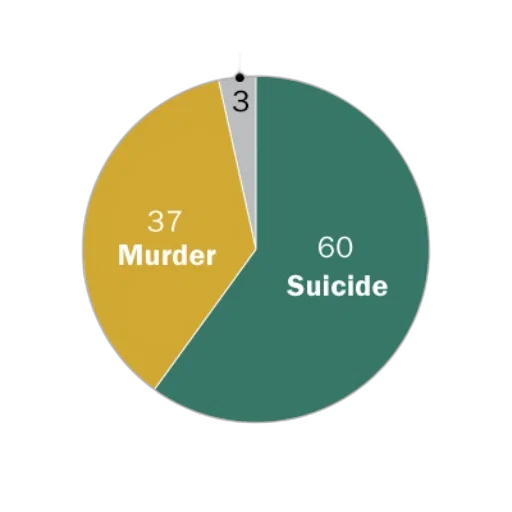 pie, chart, showing, gun transparent PNG cut-out