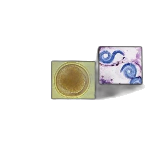 jewelry, 3d render, pastel, cover transparent PNG cut-out