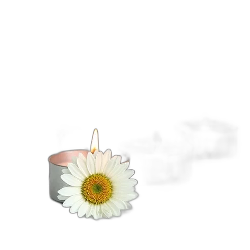 jewelry, flower, crown, staff transparent PNG cut-out