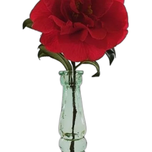 flower, crown, bottle, staff transparent PNG cut-out