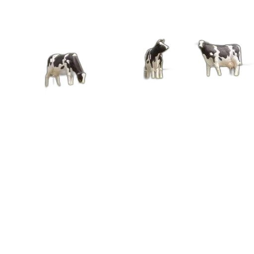 animal, furniture, jewelry, creature transparent PNG cut-out