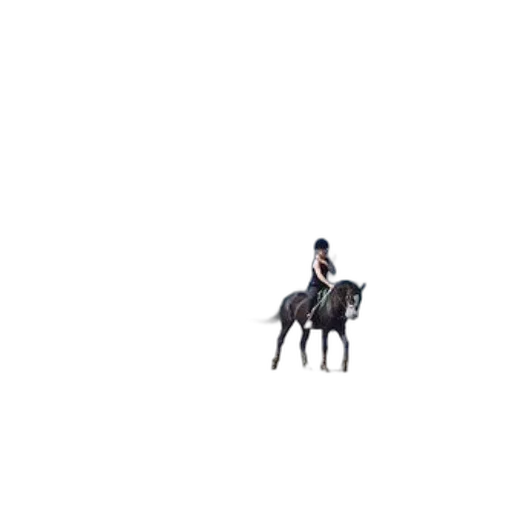 animal, hat, creature, staff transparent PNG cut-out