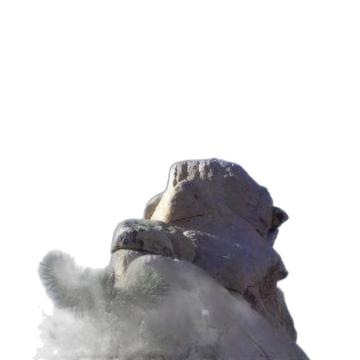 dragon, face, creature, mask transparent PNG cut-out