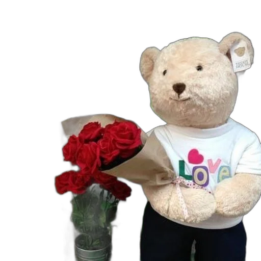 3d render, teddy, bear, wearing transparent PNG cut-out