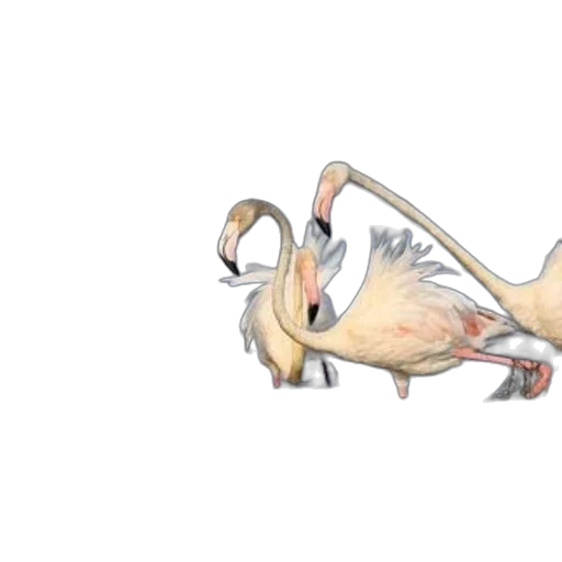 dragon, creature, animal, concept art transparent PNG cut-out