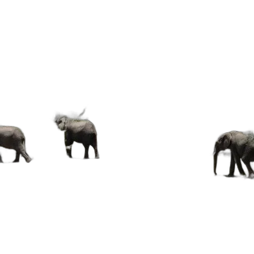 animal, creature, furniture, concept art transparent PNG cut-out
