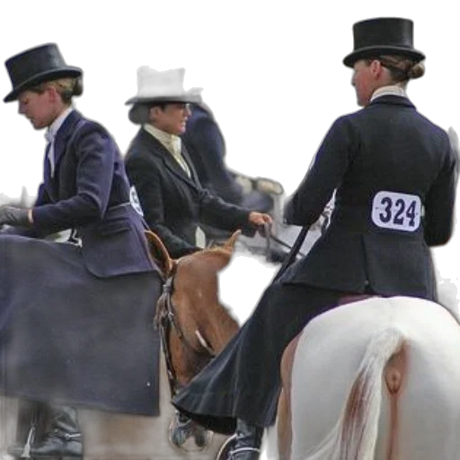 group, equestrians, wearing, top transparent PNG cut-out