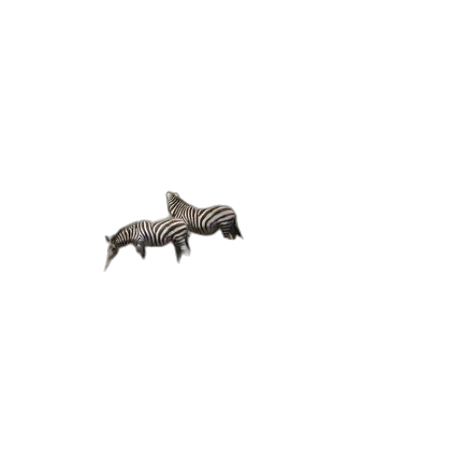 dragon, animal, creature, weapon transparent PNG cut-out