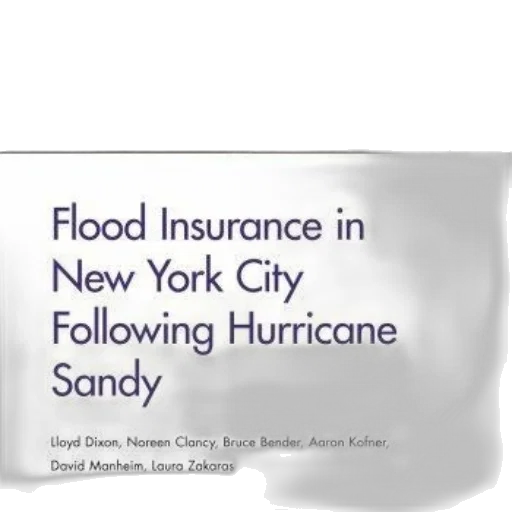 report, titled, flood, insurance transparent PNG cut-out
