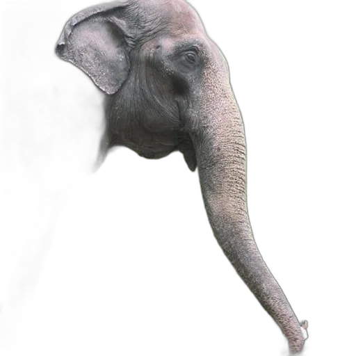 animal, mask, creature, staff transparent PNG cut-out