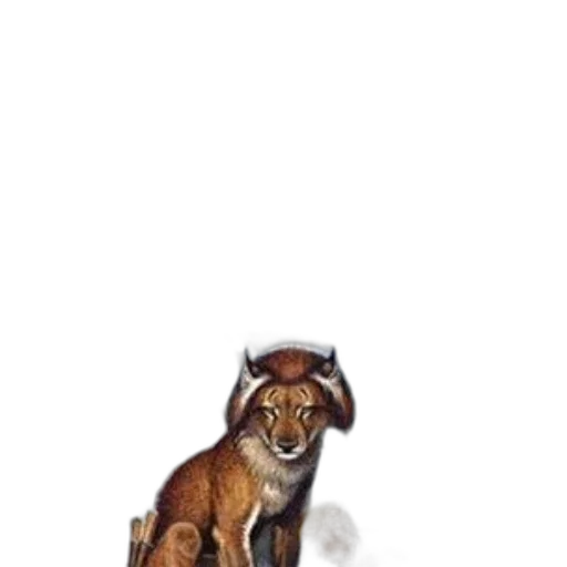 animal, staff, creature, jacket transparent PNG cut-out