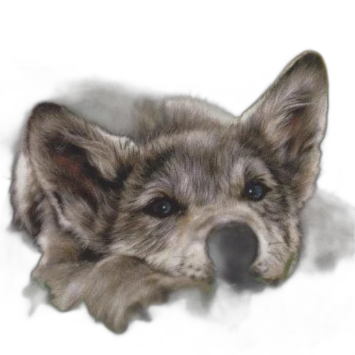 animal, creature, face, mask transparent PNG cut-out