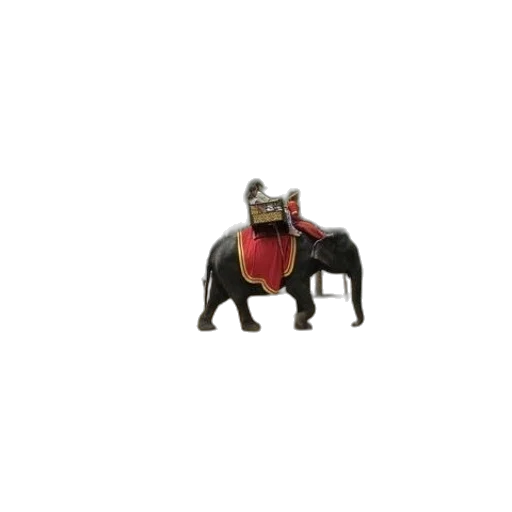 animal, furniture, jewelry, crown transparent PNG cut-out