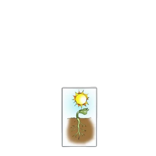 flower, staff, jewelry, crown transparent PNG cut-out