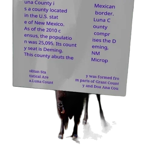 luna, county, located, state transparent PNG cut-out
