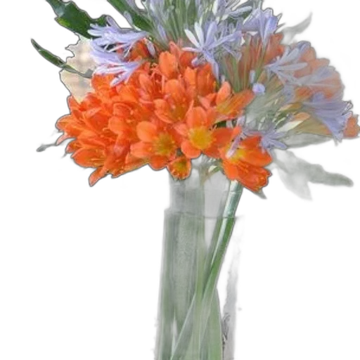 flower, crown, staff, jewelry transparent PNG cut-out