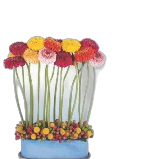 flower, crown, 3d render, photorealistic transparent PNG cut-out