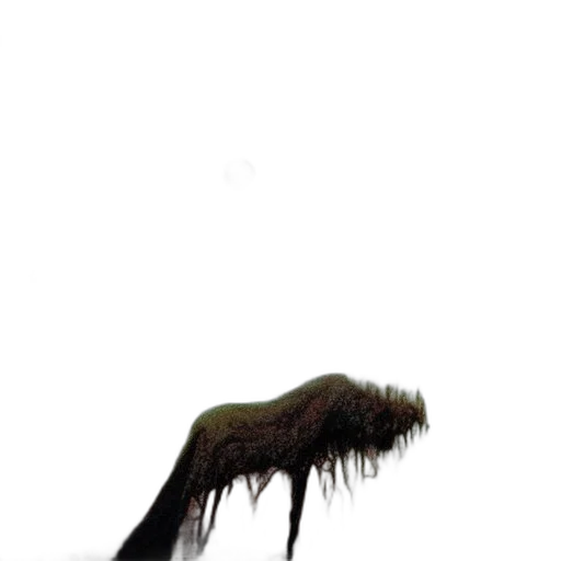 hair, creature, animal, dragon transparent PNG cut-out