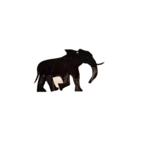 animal, creature, jewelry, staff transparent PNG cut-out