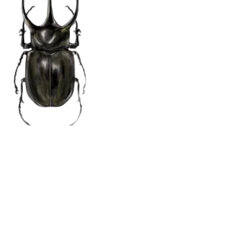 animal, creature, dress, robot transparent PNG cut-out
