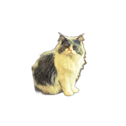 animal, staff, creature, crown transparent PNG cut-out