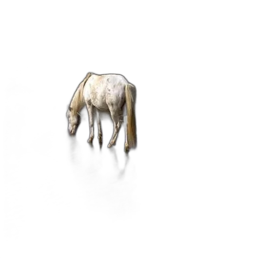 animal, creature, hair, jewelry transparent PNG cut-out