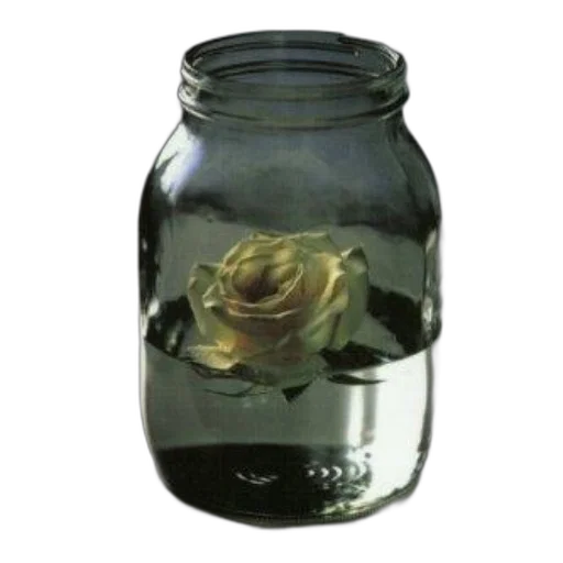 bottle, flower, crown, mask transparent PNG cut-out