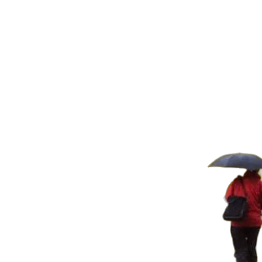umbrella, jacket, hat, staff transparent PNG cut-out