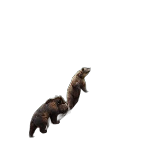 animal, hair, creature, staff transparent PNG cut-out