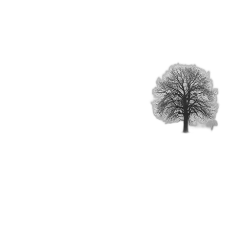 tree, crown, hat, umbrella transparent PNG cut-out