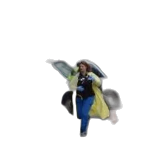 umbrella, jacket, staff, hat transparent PNG cut-out