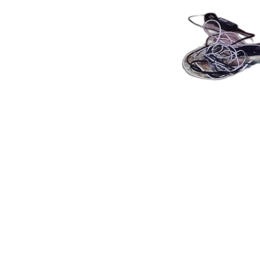 shoes, animal, dragon, jewelry transparent PNG cut-out