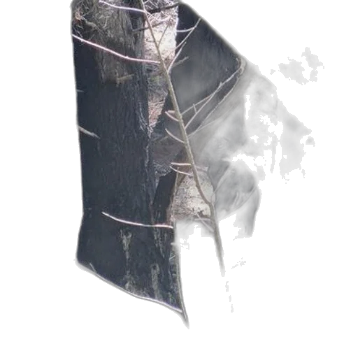 tree, jacket, sword, mask transparent PNG cut-out