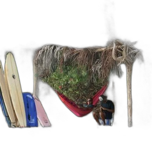 animal, shoes, staff, hair transparent PNG cut-out