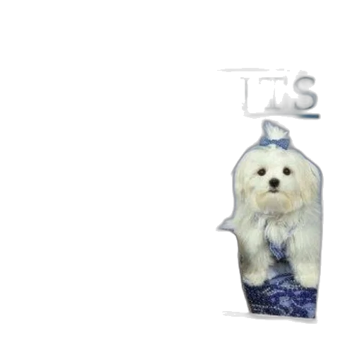 bottle, animal, vaporwave, photorealistic transparent PNG cut-out