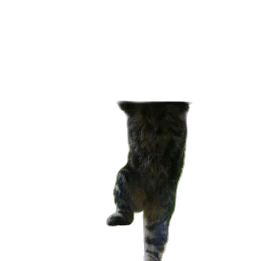 staff, animal, hat, creature transparent PNG cut-out