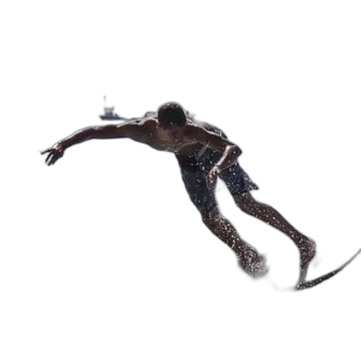 staff, creature, animal, hair transparent PNG cut-out