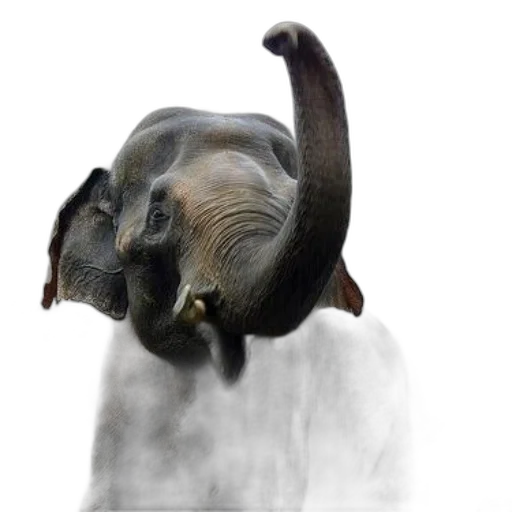 animal, creature, dragon, staff transparent PNG cut-out
