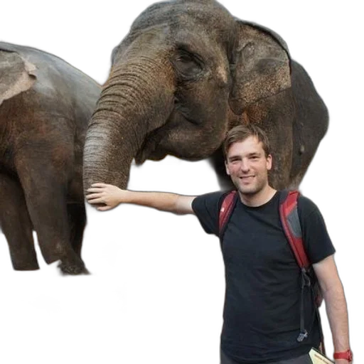 animal, staff, creature, weapon transparent PNG cut-out
