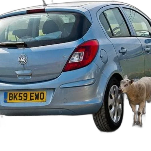 car, animal, light, blue transparent PNG cut-out