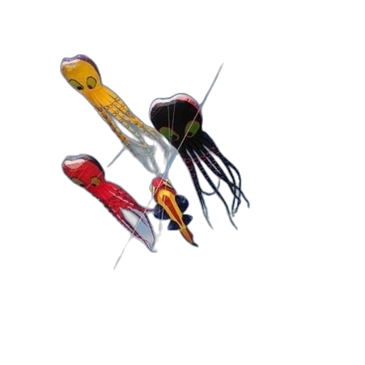 weapon, staff, umbrella, jewelry transparent PNG cut-out